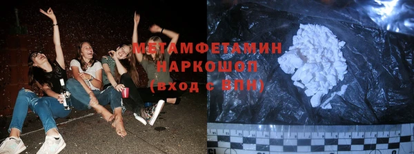 PSILOCYBIN Гатчина