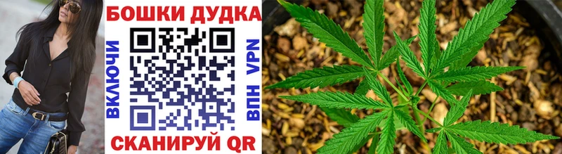 как найти закладки  Щёкино  Шишки марихуана Bruce Banner 